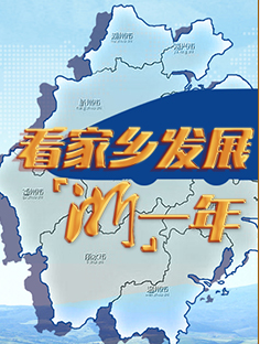 H5 | 看家乡发展“浙”一年