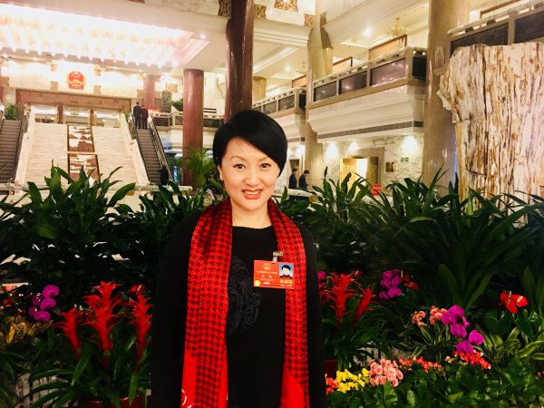 人大代表崔巍：大运河需要一部专项行政法规