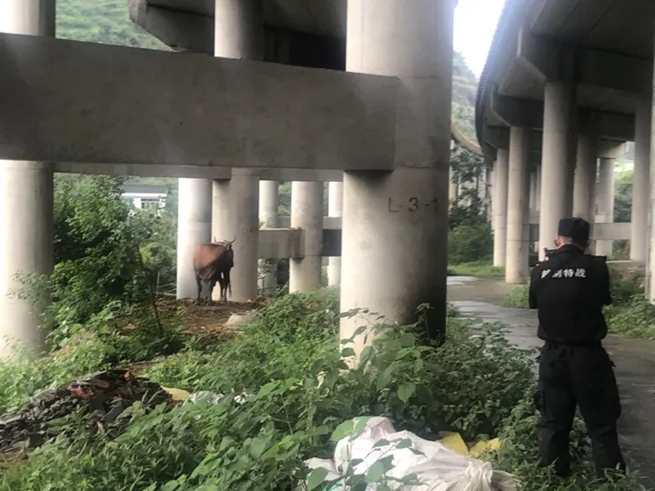 W020210803618305902303.jpg W020210803618305902303.jpg